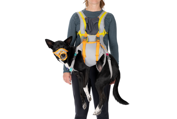 Ruffwear BackTrak Dog Evacuation Kit