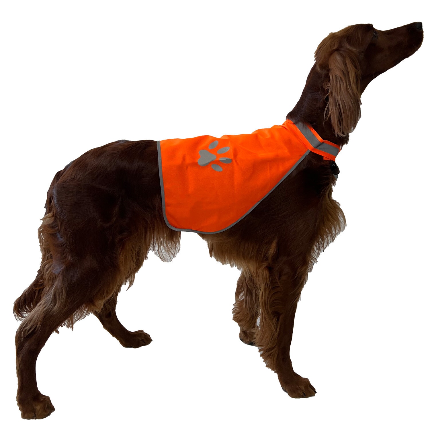 Dogwear Refleksvest