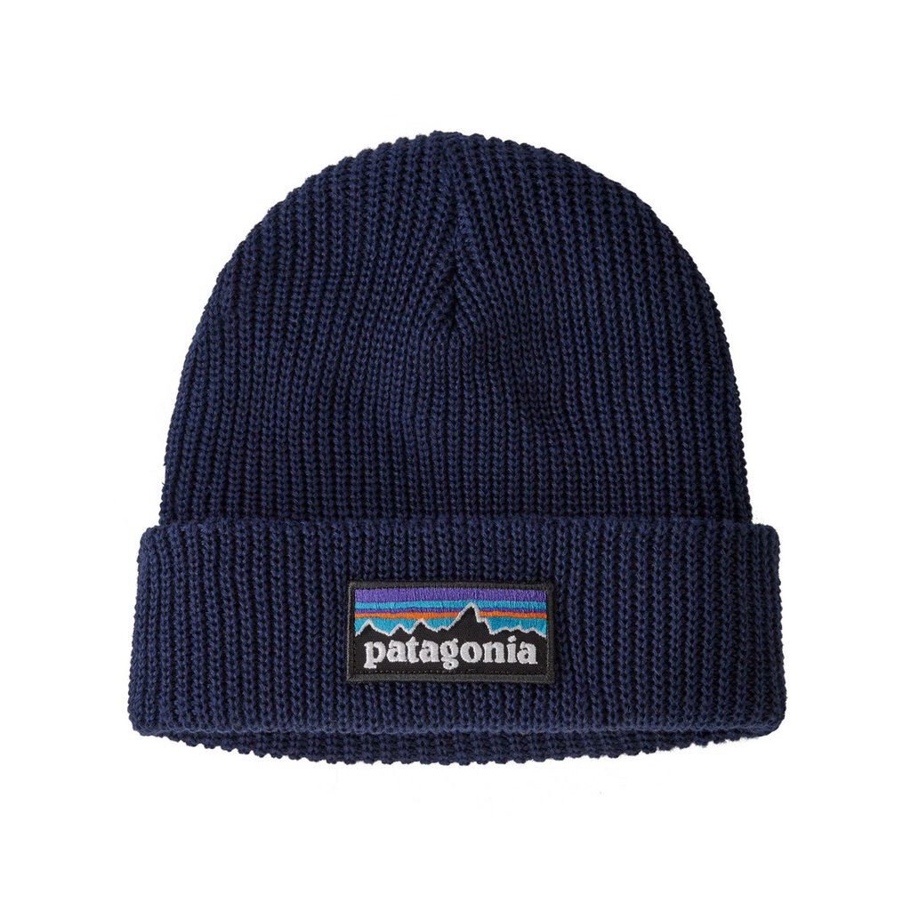 Patagonia Kids Logo Beanie